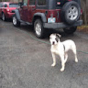 Meet your Posher, Barbara